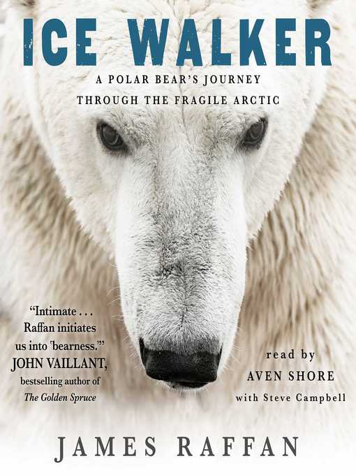 Cover image for Ice Walker